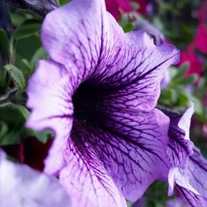 Meet your Posher, Ethan